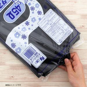 日泉ポリテック ゴミ袋 ダストパック 日本製 ...の詳細画像3