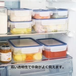 岩崎工業 保存容器 イージーケア 日本製 2....の詳細画像5