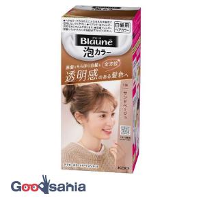 サクセスブラックふんわり仕上がるカラートリートメント本体 ( 155g×2