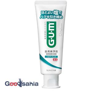薬用ガムGUM デンタルペースト ソルティミント スタンディング 150g