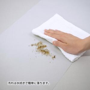 東和産業 玄関収納 FIRSTO 銀抗菌靴箱シ...の詳細画像3