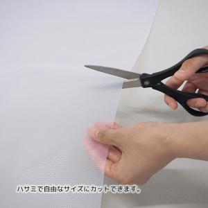 東和産業 玄関収納 FIRSTO 銀抗菌靴箱シ...の詳細画像4