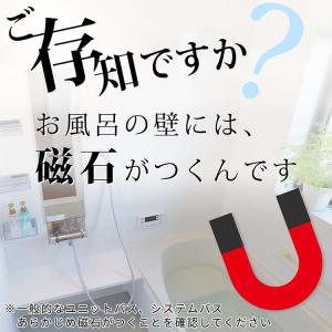 レック 石けん皿 お風呂マグネット ステンレス...の詳細画像1