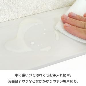 レック SOROU ウォールラック 幅24cm...の詳細画像3