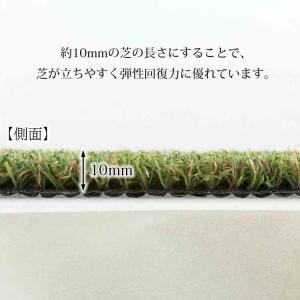 ワタナベ工業 人工芝 まるで天然芝 優れた弾性...の詳細画像3