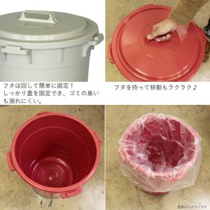 平和工業 ゴミ箱 フタ付き 丸型カラーペール ...の詳細画像3
