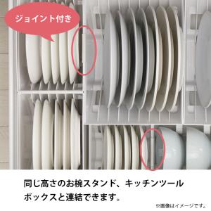 リッチェル トトノ 引き出し用 ディッシュスタ...の詳細画像4