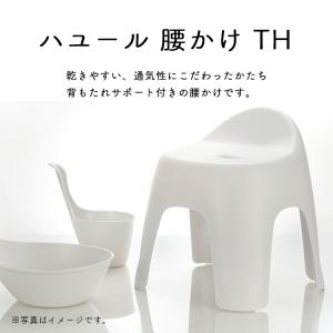 リッチェル 風呂椅子 ハユール 腰かけ TH ...の詳細画像1