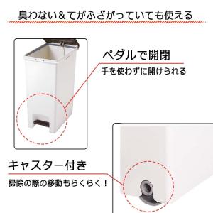 アスベル ゴミ箱 ペダルペール R防臭エバン ...の詳細画像2