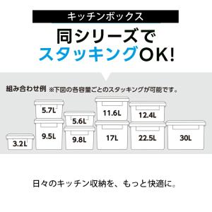 アスベル 保存容器 ユニックス キッチンボック...の詳細画像4