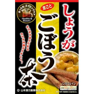 あじかん 国産 焙煎 ごぼう茶 1g×20包 2点セット 南雲先生 南雲吉則