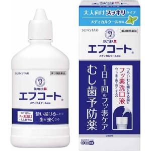 第3類医薬品 エフコート メディカルクール香味 ...の商品画像