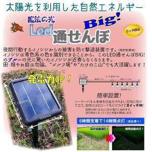 クーポン発行中  ３個セット 魔法の光 LED通せんぼBIG ※只今プレゼント付き