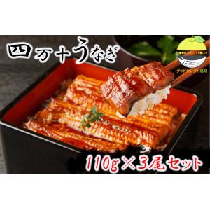 四万十うなぎ 蒲焼 国産 高級 110g 3尾セット ウナギ 贈り物 グルメ ギフト