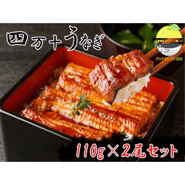 四万十うなぎ蒲焼き 国産 110g×2尾 炭火焼・無添加・秘伝のタレ使用 ギフト 贈り物 贈答 プレ...