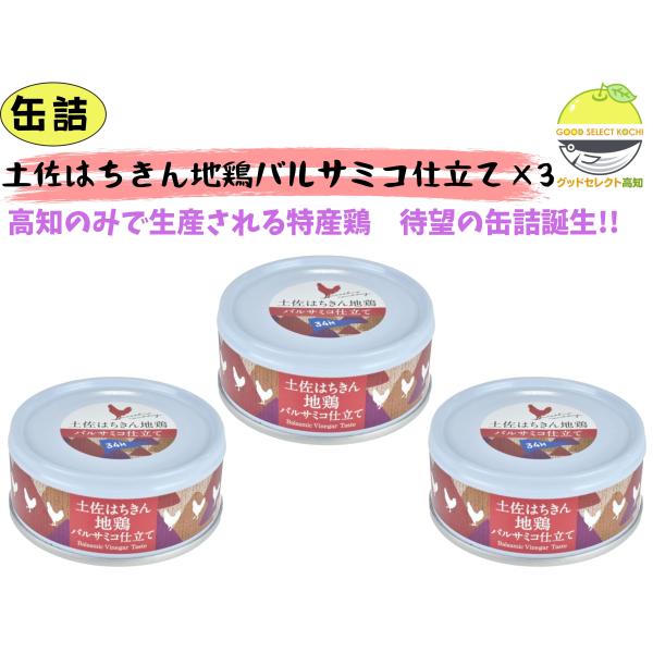 缶詰 土佐はちきん地鶏バルサミコ仕立て×3缶