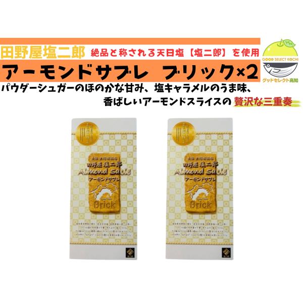 田野屋塩二郎アーモンドサブレ・ブリック 12個入り×2箱 ほろほろ食感の塩キャラメル＆アーモンド