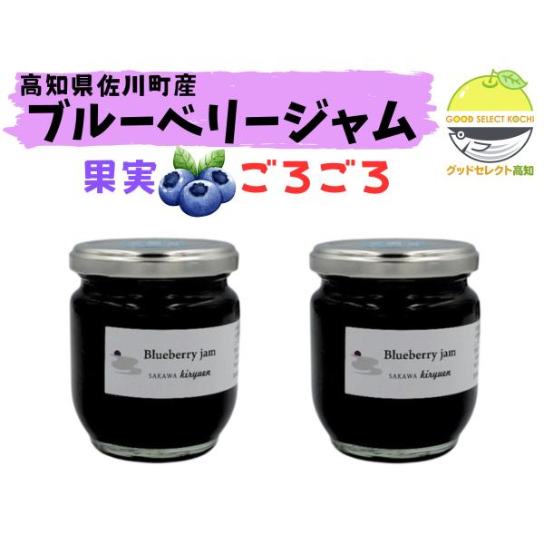 ブルーベリージャム 佐川町産 手作り プレザーブスタイル 200ｇ×2 自然派 無添加