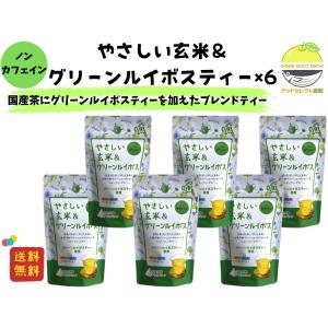 伊藤園 ヘルシールイボスティー ティーバッグ ( 2.0g*100包 ) : 爽快