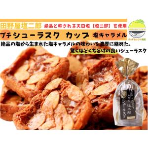 ラスク 田野屋塩二郎 プチシューラスク 10枚入り 2箱 塩キャラメル
