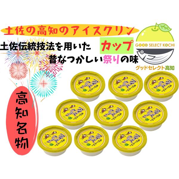 さめうらフーズ アイスクリン カップ 150ml×9個 昔懐かしい縁日の味 さめうらフーズ 高知の夏...