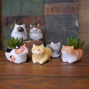 中国　景徳鎮製　孔雀牡丹図大瓶　送料込み0325 Amazon.co.jp: 日本の名画 円山応挙 牡丹孔雀図（ぼたんくじゃく