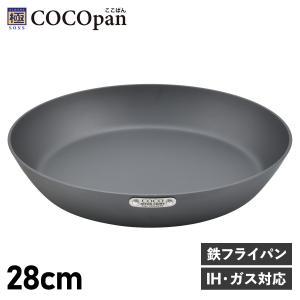 RIVER LIGHT（リバーライト） 極SONS COCOpan ココパン 鉄鍋 20cm