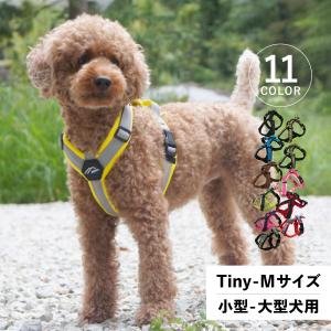 Hakusan ゼロハーネス用ラベル : 1stDogCafe - 通販 - Yahoo!ショッピング