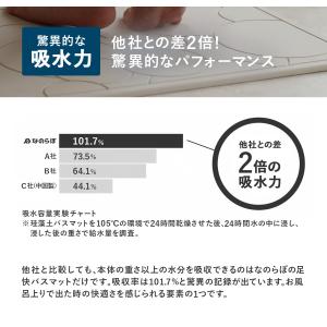 なのらぼ バスマット 珪藻土 珪藻土 マット ...の詳細画像4