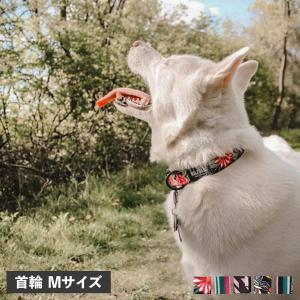 ウルフギャング WOLFGANG 首輪 犬用品 中型犬 Mサイズ カラー COLLAR マン&ビースト MAN&BEAST｜goodslabo