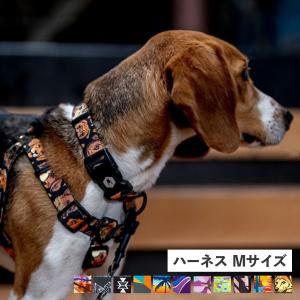 WOLFGANG MAN & BEAST ウルフギャング ハーネス 大型犬用ハーネス 犬