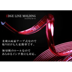 ホイールリムガード プロテクター メッキ 汎用...の詳細画像3