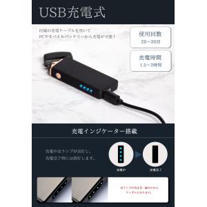 プラズマライター 電子ライター USB USB...の詳細画像3