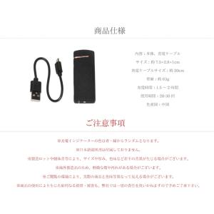 プラズマライター 電子ライター USB USB...の詳細画像5