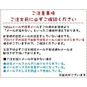 タープフック 車 吸盤フック 2個セット 強力...の詳細画像5