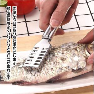 ウロコ取り うろこ取り 鱗 魚 ウロコ剥がし ...の詳細画像1