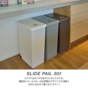 ゴミ箱 ごみ箱 おしゃれ ダストボックス スラ...の詳細画像1
