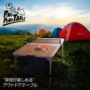 レジンクラフト コンパクト卓球台 BA-7254 卓球台 たっきゅう 組立式