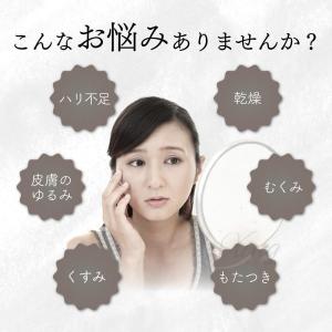 美顔器 ems 1台多役 リフトアップ効果 L...の詳細画像2