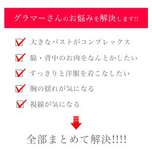 【クーポン利用で半額1,490円】ブラジャー ...の詳細画像1