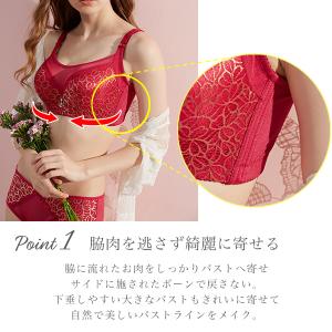 【クーポン利用で半額1,490円】ブラジャー ...の詳細画像2
