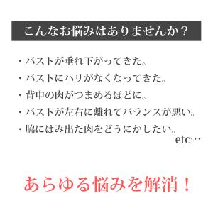 【クーポン利用で半額1,490円】ブラジャー ...の詳細画像1