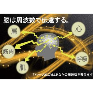 HEARTZ ハーツ メタリックネックレスII...の詳細画像4