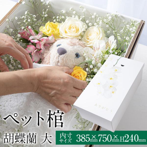 ペット棺 やすらぎ 胡蝶蘭 (大) 【13時まで即日出荷】 組立時間約2分 ペットひつぎ 棺桶 ペッ...