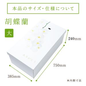 ペット棺 やすらぎ 胡蝶蘭 (大) 【13時ま...の詳細画像3
