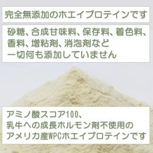 ボディウイング 無添加ホエイプロテイン ナチュ...の詳細画像1