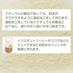 ボディウイング 無添加ホエイプロテイン ナチュ...の詳細画像2