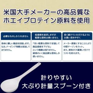 ボディウイング 無添加ホエイプロテイン ナチュ...の詳細画像3