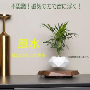 浮遊 フラワー 植物 ポット 六角形台座 フローティング 植木鉢 鉢植え 盆栽 磁気 回転 テーブル リビング 寝室 卓上 ベッドサイド インテリア 浮く