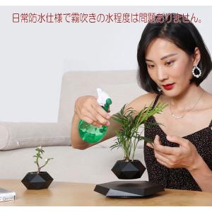 浮遊 フラワー 植物 ポット 六角形台座 フロ...の詳細画像4
